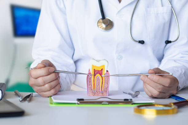 Best Emergency Treatment for Dental Infections or Abscesses in Cedar Falls, IA